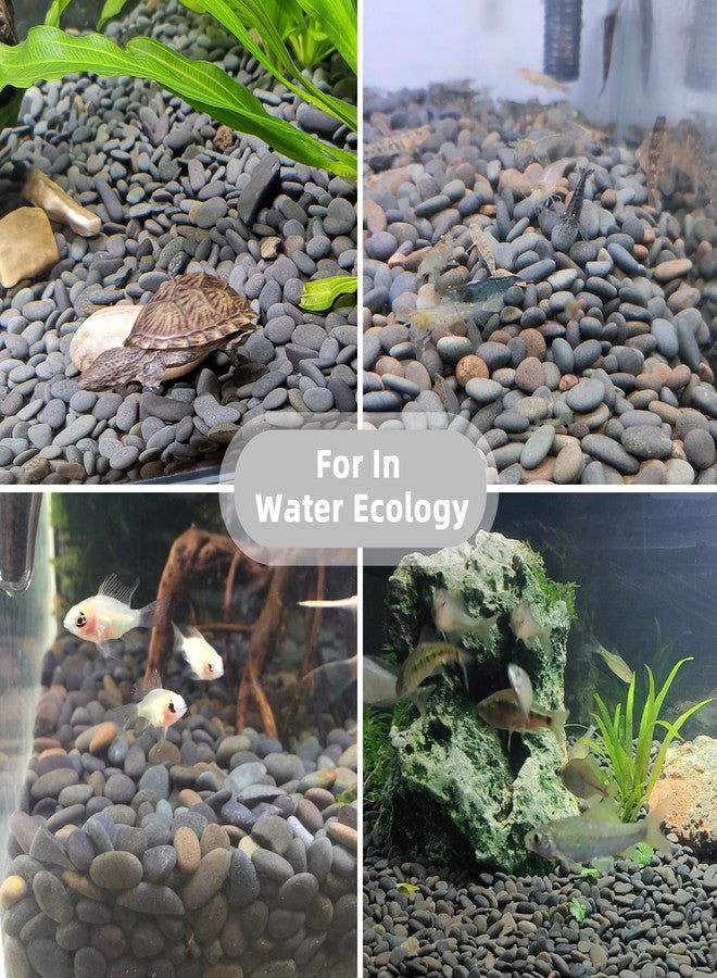 CJGQ 2.4lb River Rocks Pebbles for Plants & Succulents, Decorative Outdoor Landscaping & Aquarium Garden Rocks - Image 5